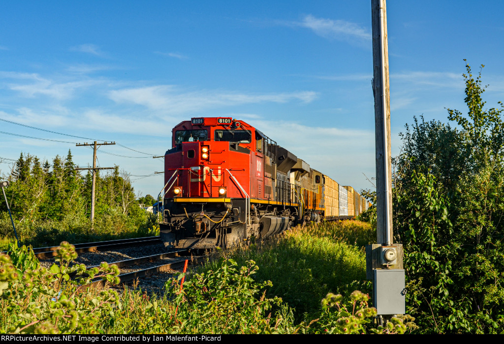 CN 8101 leads 305 in Saint Leonard